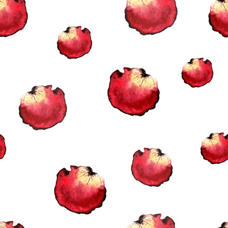 Bunch of petals pink roses isolated on white background , image for design and other.の写真素材