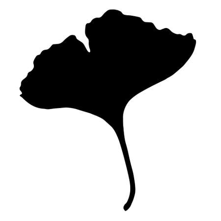 vector silhouette of black color on white background of medicinal ginko biloba leaf isolated element for design templateのイラスト素材