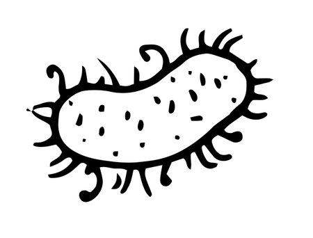 Black doodle bacteria on white background. Cartoon people vector illustration. Hand drawn vector illustration. White background, isolated. Vector drawing. Isolated vector icon.のイラスト素材
