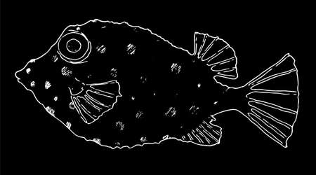 Vintage doodle black illustration. Hand drawn illustration.Vector illustration of a tropical aquarium fish body-cube with spots drawn by hand with a white line on a black background. isolated sea fish sketch element for menu design template, labels, signageのイラスト素材