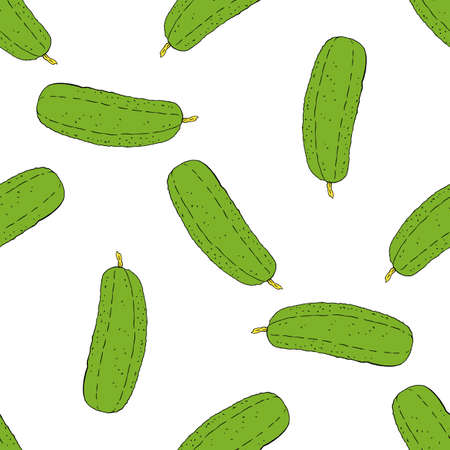 Sketch green cucumber sketch pattern for print design.のイラスト素材