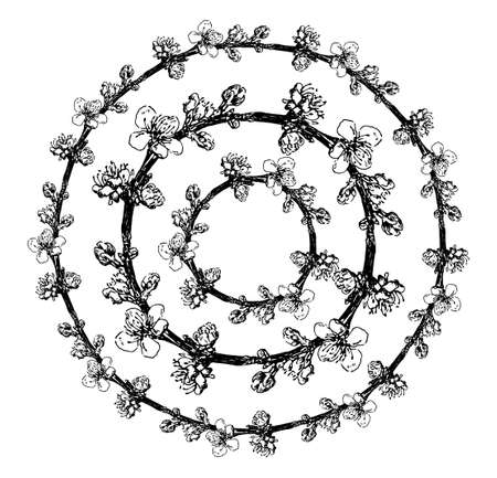 Vintage sketch apricot branch wreath, great design for any purposes.のイラスト素材