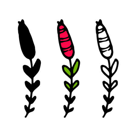 Vintage doodle berries leaves pattern, great design for any purposes. Vintage print. Organic textile. Hand drawn illustration.vector twig with a red oval berry with a pattern of stripes and green leaves with a black outline on a white background. doodle twig isolated outline and silhouette, for textile design template, postcards and backgroundsのイラスト素材