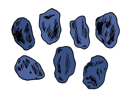Vector set of dark blue honeysuckle berries. a hand-drawn collection of uneven blue honeysuckle berries with a black outline isolated on a white background for an organic food design template. Sketch honeysuckle berries in cartoon style. Hand drawn vector illustration.のイラスト素材