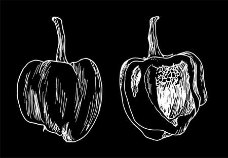 Vector a set of peppers. a whole pepper and half set, hand-drawn in sketch style, isolated white outline on white for a design template. vegan vegetable pepper. Vector icon.のイラスト素材