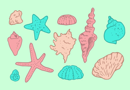 Vector a set of shells and starfish in color. hand-drawn shells, starfish, pink and turquoise isolated elements on green for a summer design templateのイラスト素材