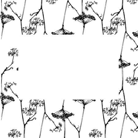 Vector rectangular frame made of a plant flower. template of hand-drawn edible plant flower parsley seeds, black outline with blank white rectangles for text for floral design label. Line art.のイラスト素材