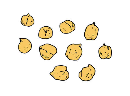 Vector a set of yellow chickpeas. a collection of yellow chickpeas or peas, hand-drawn in a sketch style with a black outline with yellow scattered on white for a packaging design template. seeds of isolated beans.Chickpeas yellow pattern for decoration design.のイラスト素材