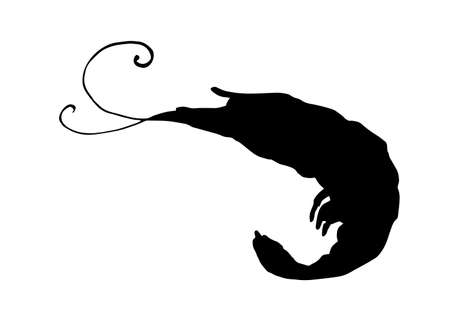 the silhouette of a shrimp. painted marine crustacean shrimp isolated with black silhouette, with curved black whiskers, side view on white for design templateのイラスト素材
