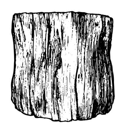 Vector hand drawn illustration. A sketch of a fallen tree. a hand-drawn tree stump with a texture in a realistic style. sawn wood side view with smooth cuts black outline on white insulated element for your design templateのイラスト素材