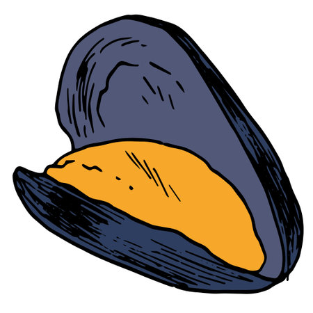 open orange mussels with a gray-blue shell. seafood opens with a hand-drawn isolated seafood mussel in the style of a sketch on white for a design template, packaging, menuのイラスト素材
