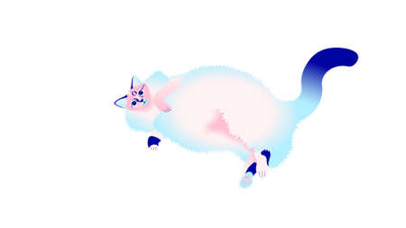 Fluffy cute catのイラスト素材