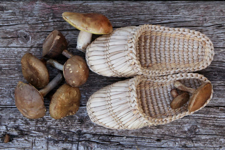 Bast shoes and mushrooms