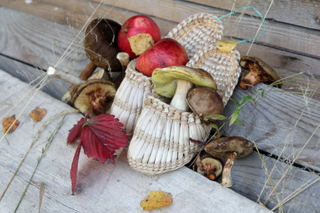 Bast shoes and mushrooms