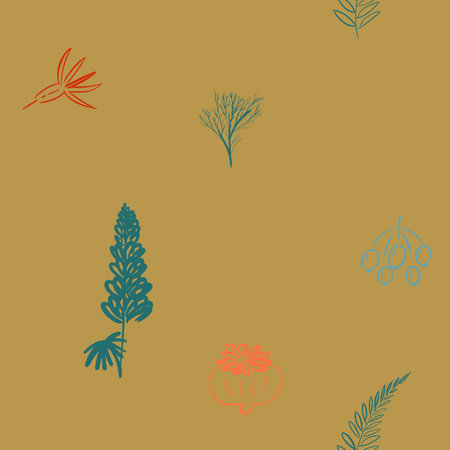 Floral seamless pattern made of blossom meadow plants and field flowers.の写真素材