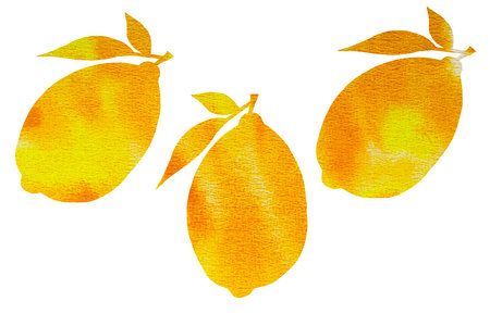 Exotic lemon citruses in a watercolor style isolated.の写真素材