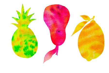 Set watercolor silhouettes fruit and berries on a white backgroundの写真素材