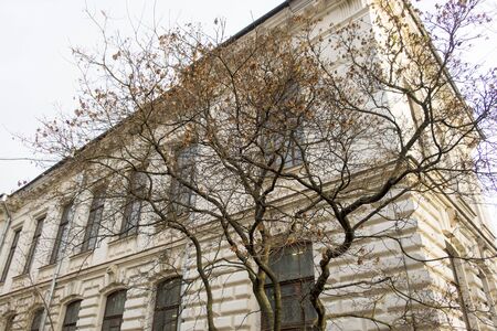 beautiful old building and autumn treeの写真素材