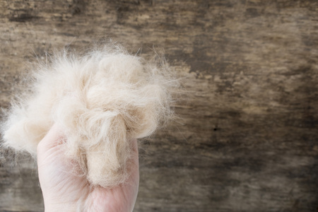 Combed wool cat in hand on a wooden background close-up and copy spaceの写真素材