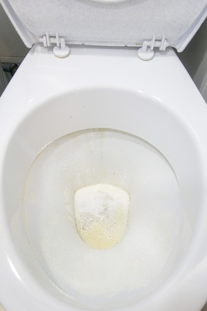 Toilet bowl sprinkled with detergent powder, close-upの写真素材