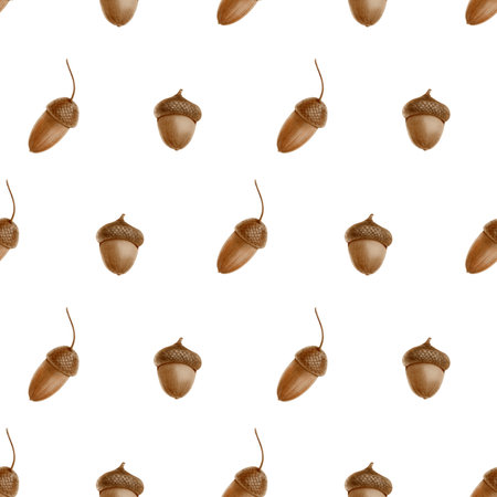 Acorns in seamless pattern as a symbol of autumn. Realistic watercolor illustration on transparent background. Hand painted seasonal clipart for autumn holidaysの写真素材