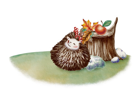 Funny hedgehog curled up in a ball, quietly dozing in a clearing near an old stump with pebbles and moss with autumn maple and oak leaves a sprig of rowan berries, and an appleの写真素材