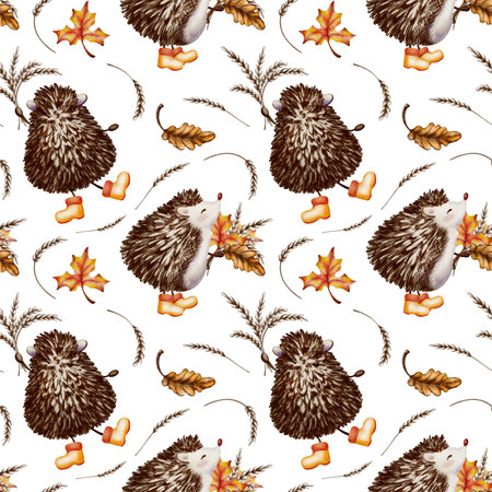 Forest character,a hedgehog,in a cute childrens style on seamless autumn pattern,holding a bouquet of wheat spikes,oak,maple leaves.Watercolor and colored pencils styleの写真素材