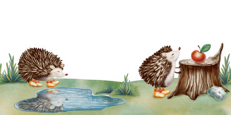 Cute forest hedgehog in a seamless border,admiring its reflection,reaching for an apple on a stump in an autumn meadow.Hand drawn illustrations in watercolor and colored pencils,in childlike styleの写真素材