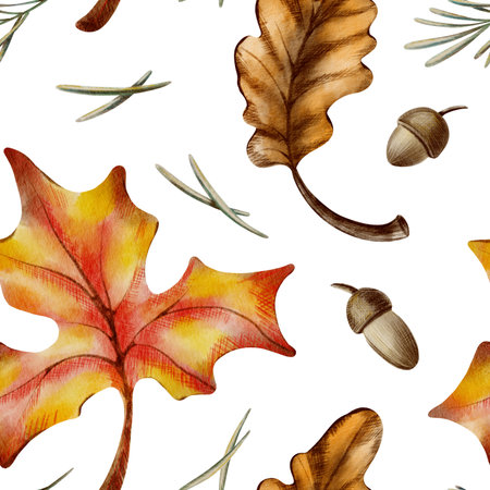 Autumn seamless pattern of maple and oak leaves,with acorns,twigs,and pine needles symbolizing leaf fall,harvest and the withering of nature.Watercolor and pencils illustrationの写真素材