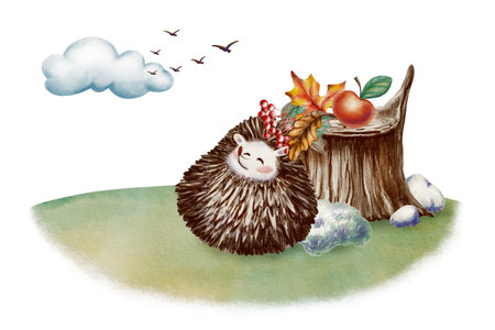 Funny long-eared hedgehog curled up in a ball looks at the birds soaring away into the clouds,near stump with pebbles and moss with autumn maple and oak leaves a sprig of rowan berries,appleの写真素材