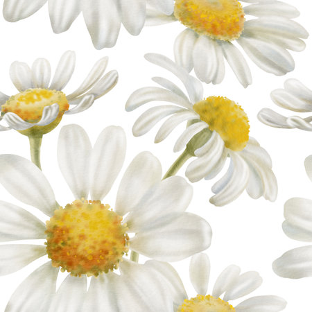 Chamomile flowers seamless pattern Delicate watercolor illustration symbolizing purity and innocence.For baby products,wedding invitations,packaging tea design,and spring-themed creative projectsの写真素材