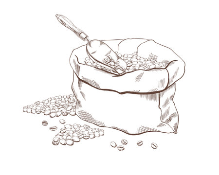 Coffee beans in burlap sack,vintage metal scoop with a wooden handle in black and white vector illustration.Minimalistic,elegant design for packaging,labels or rustic-themed projectsのイラスト素材