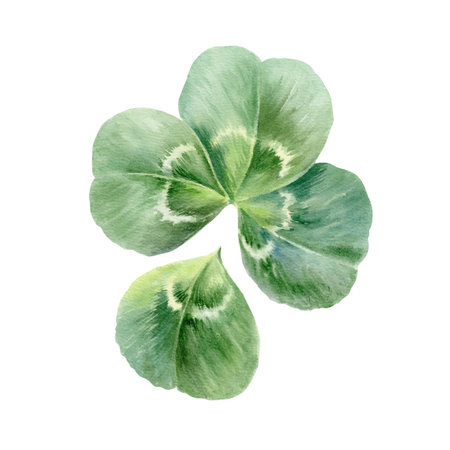 Three leaf clover with a fourth lucky leaf, symbolizing fortune and Saint Patrick's Day. Vibrant...