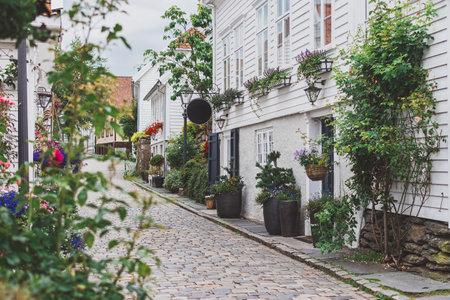 street with white houses and lots of plants in the old town of Stavanger, Norwayの写真素材