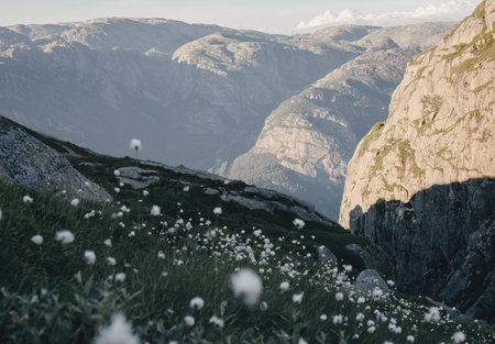 Mountain landscape with green grass and flowers in front of the rocks