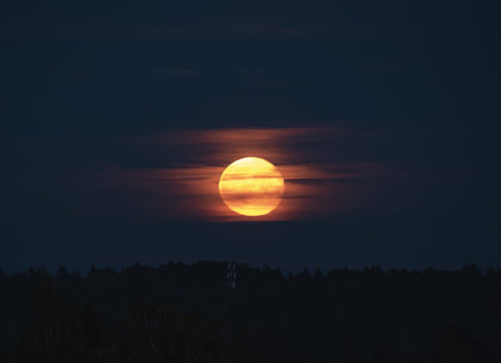 Sunset over the forest in the evening