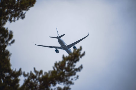 Airplane flying in the blue sky on a sunny day with pine trees
