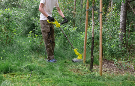 Person cutting grass with electric or petrol lawn trimmer in backyard. Process of lawn trimming with...