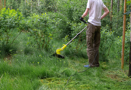Person cutting grass with electric or petrol lawn trimmer in backyard. Process of lawn trimming with...