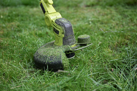 process of cutting grass with a professional grass trimmer