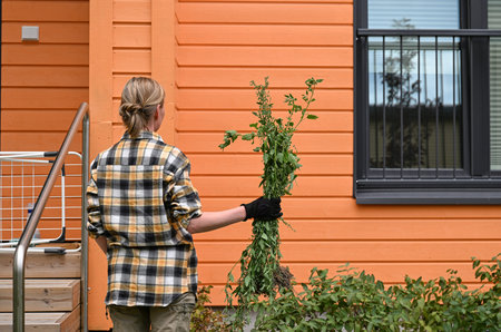 Young woman in checkered plaid shirt holds grass in her hands in the garden