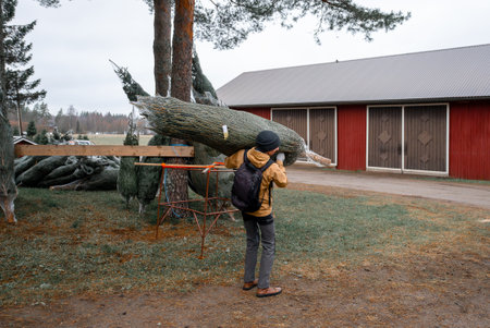 Man carrying netted Christmas tree near red barn in outdoor setting. Concept of holiday preparationの写真素材