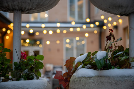 Snow-covered plants in large pots with blurred warm bokeh lights in the background, creating a cozy ambiance in a courtyard settingの写真素材