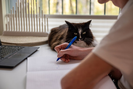 Cat lounging on desktop near person writing in notebook with laptopの写真素材