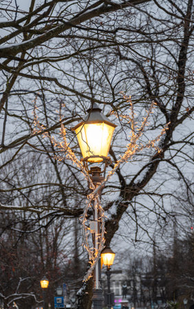 Illuminated street lamp adorned with string lights, surrounded by bare winter trees, creating a cozy atmosphere at duskの写真素材