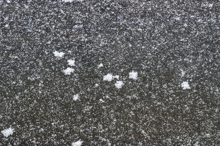 White snowflakes scattered on dark frozen surface, natural texture, wintry scene, abstract winter background conceptの写真素材