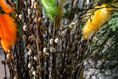Pussy willow branches with colorful feathers in spring sunlight close-upの写真素材