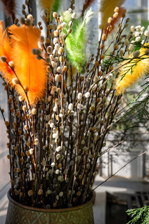 Pussy willow branches with colorful feathers in spring sunlight close-up