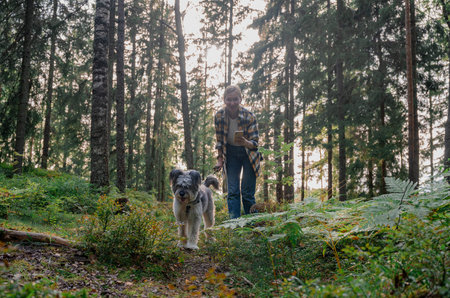 Woman walking dog in forest and using smartphone in sunlight forestの写真素材