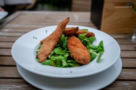 Crispy breaded chicken strips on fresh green salad served in white plate outdoorsの写真素材